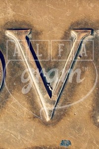 7D0C6B57-7D8E-49D5-8060-8FE5C59F8E1B_4_5005_c